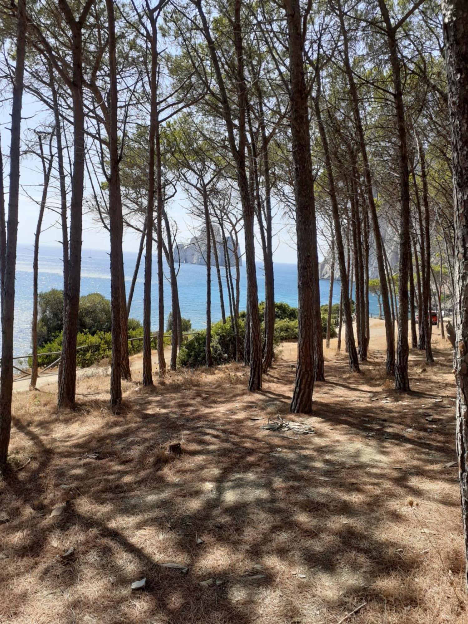 La Villa Tanca Piras Nebida Esterno foto